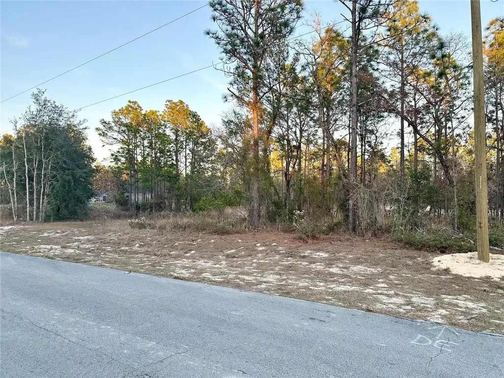 0 SW 88th Court Ocala FL 34473