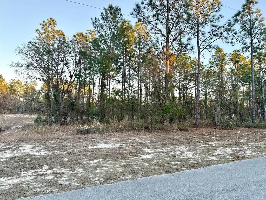 0 SW 88th Court Ocala FL 34473