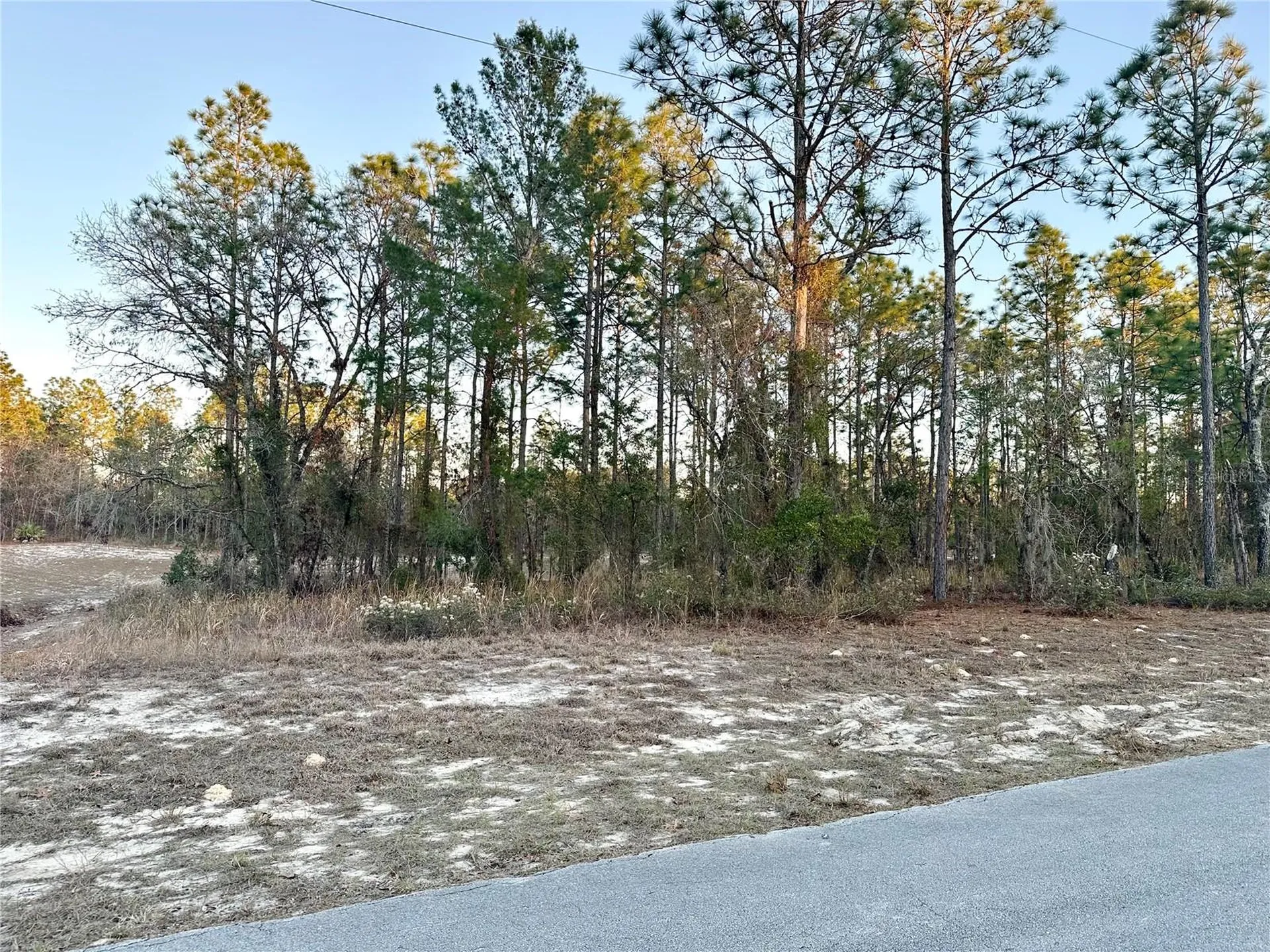 0 SW 88th Court Ocala FL 34473