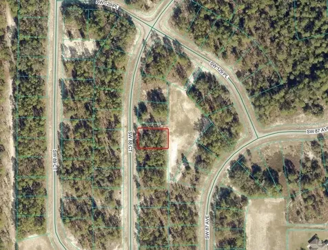 0 SW 88th Court Ocala FL 34473