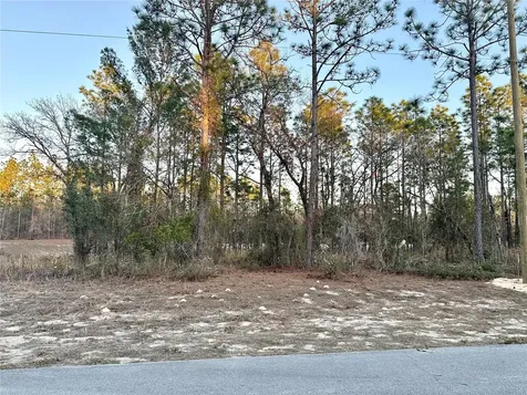 0 SW 88th Court Ocala FL 34473