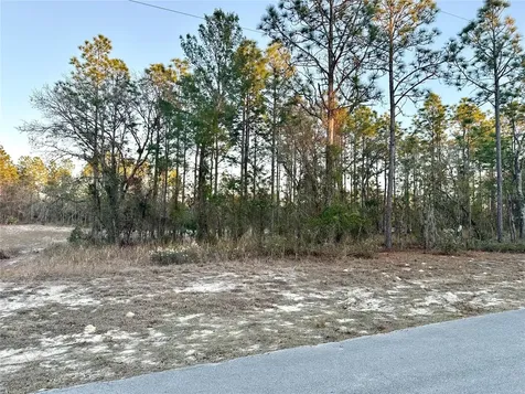 0 SW 88th Court Ocala FL 34473
