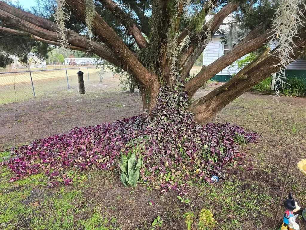 240 Kitty Avenue Interlachen FL 32148