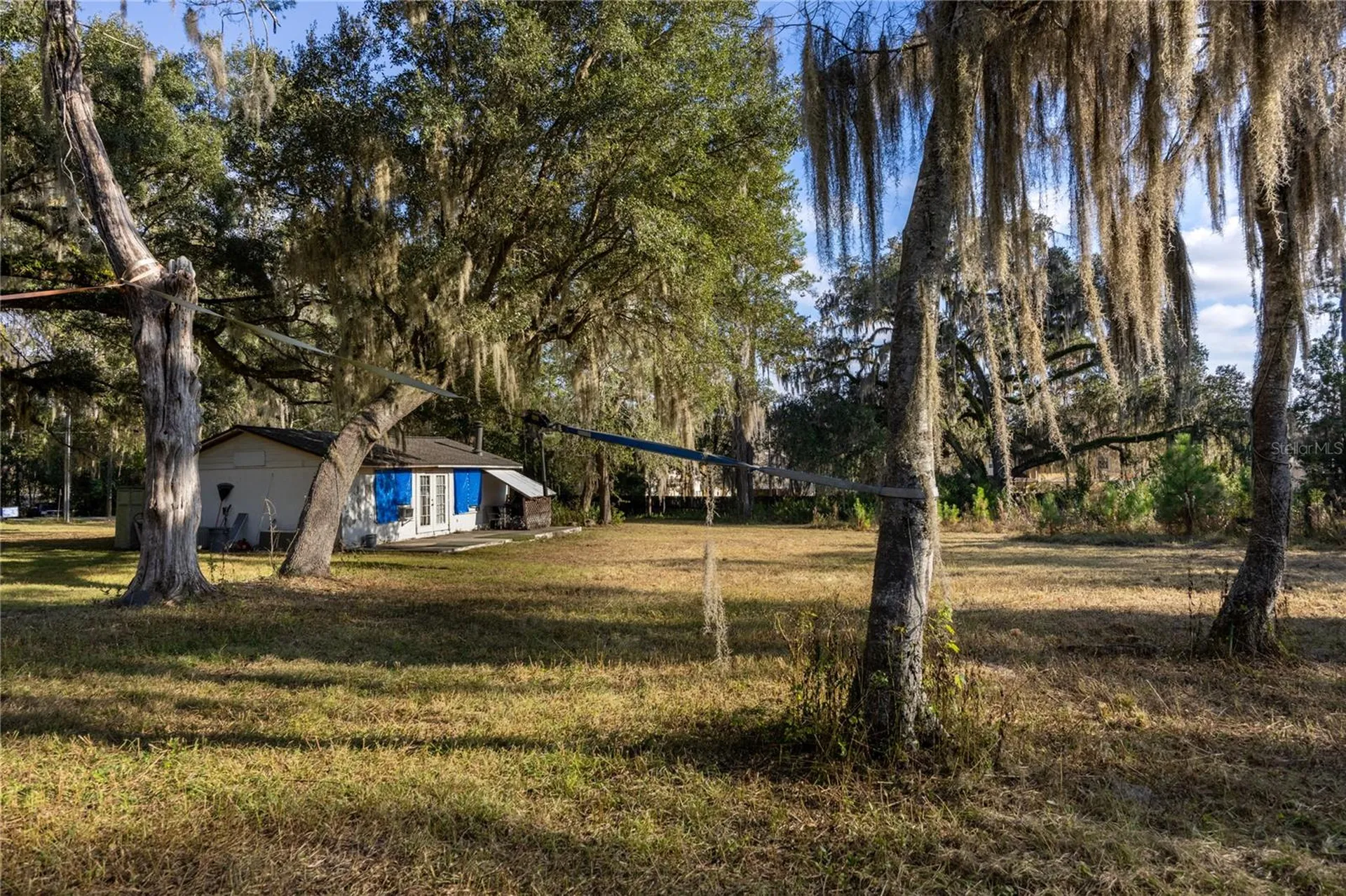 560 NW 39th Road Gainesville FL 32607
