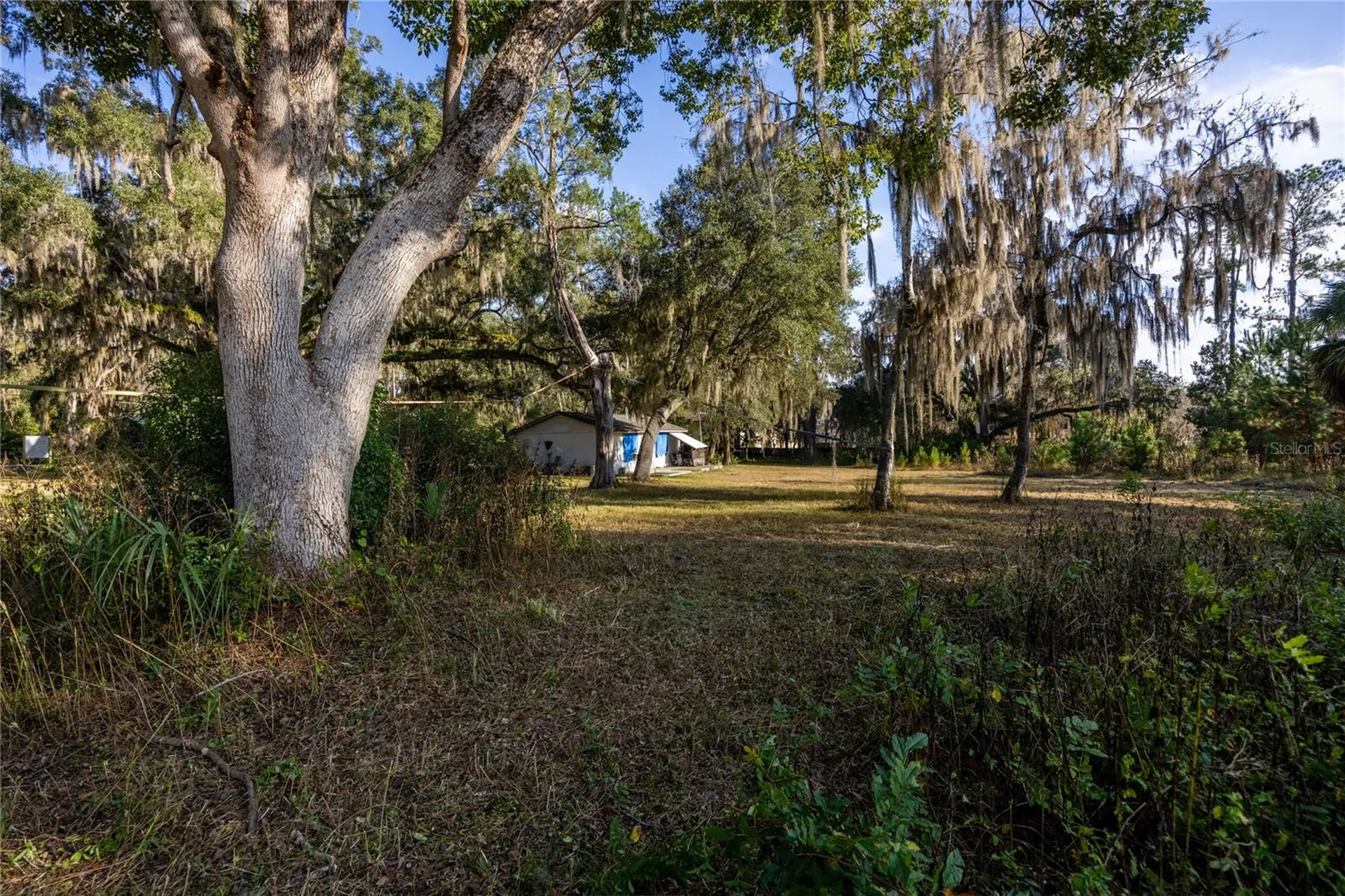 560 NW 39th Road Gainesville FL 32607