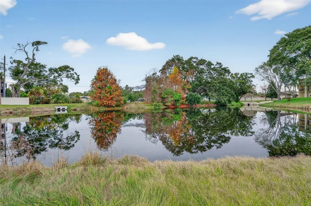 1430 Heather Ridge Boulevard Dunedin FL 34698