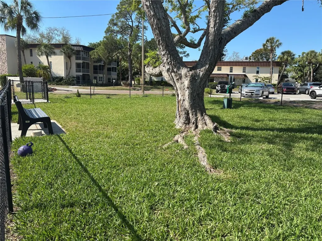 4904 38th Way S St Petersburg FL 33711