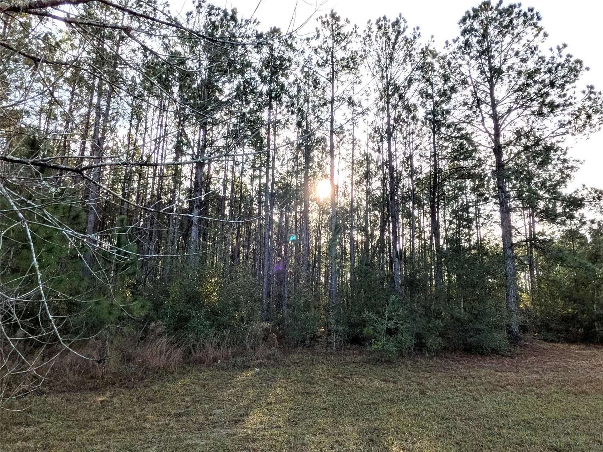 143 S Kensington Avenue Lecanto FL 34461