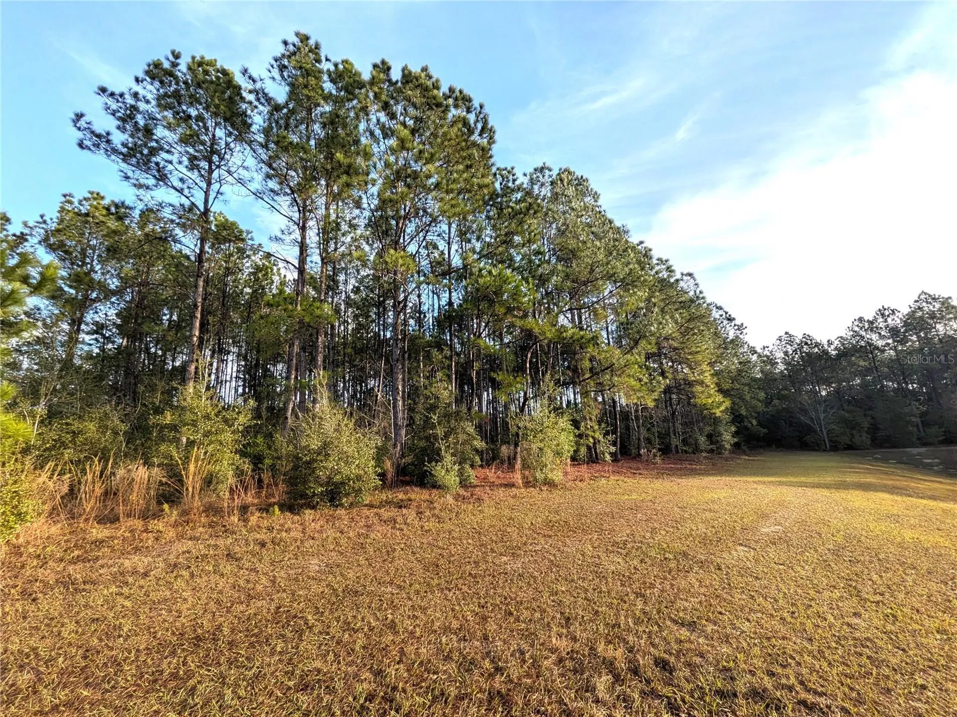 143 S Kensington Avenue Lecanto FL 34461