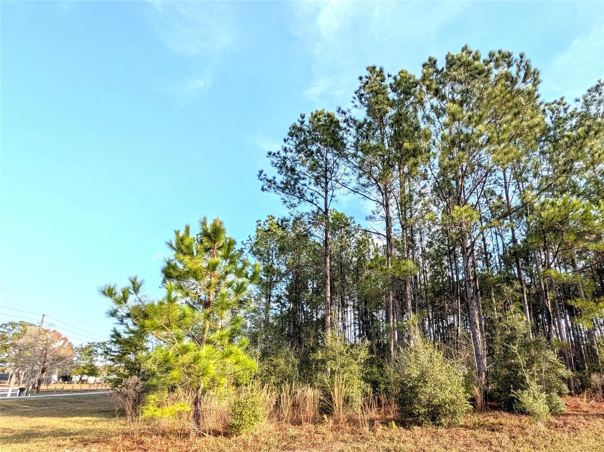 143 S Kensington Avenue Lecanto FL 34461
