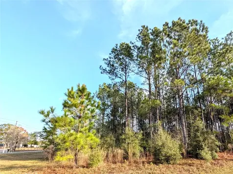 143 S Kensington Avenue Lecanto FL 34461