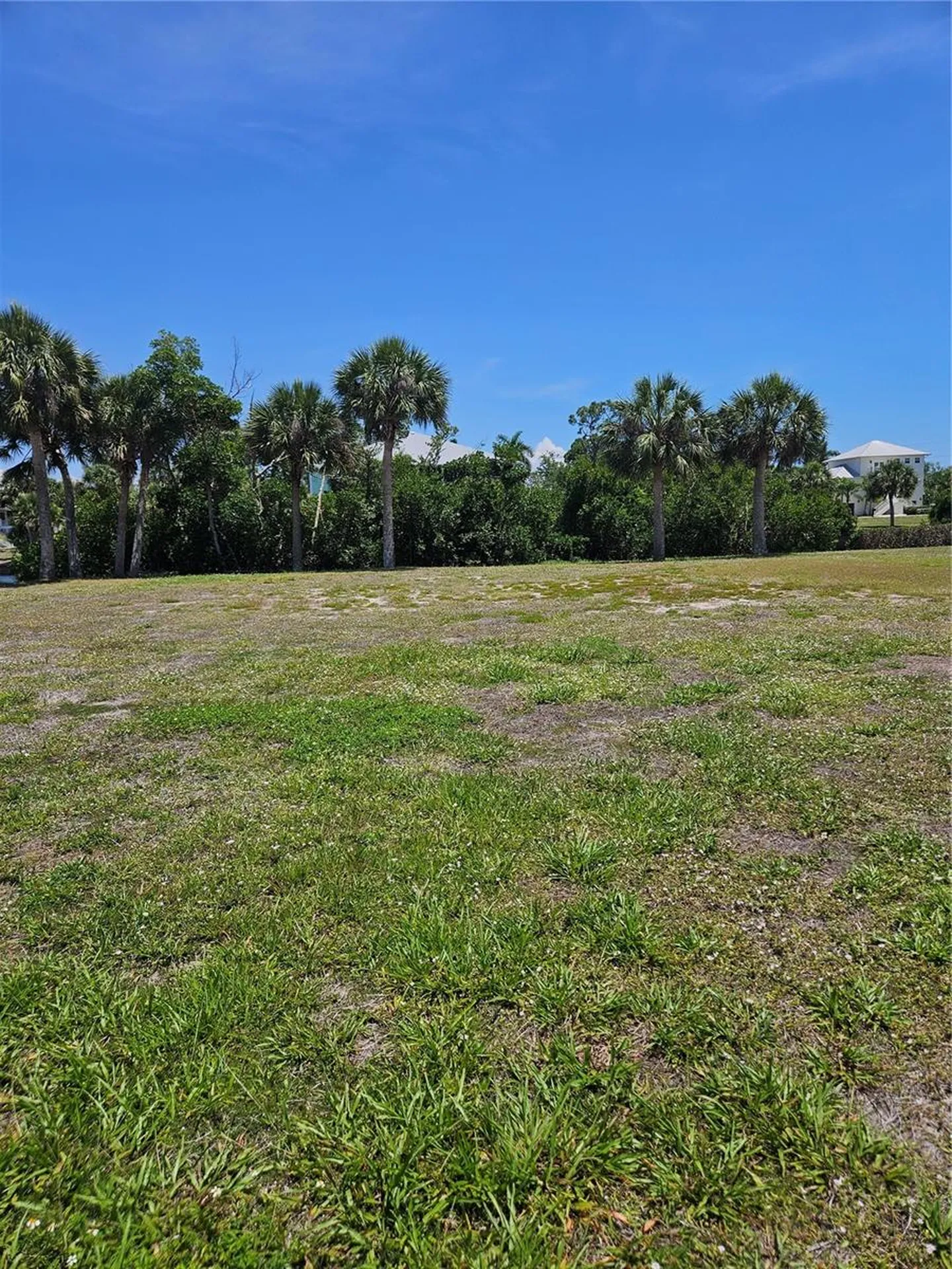 13084 Via Cassia Placida FL 33946