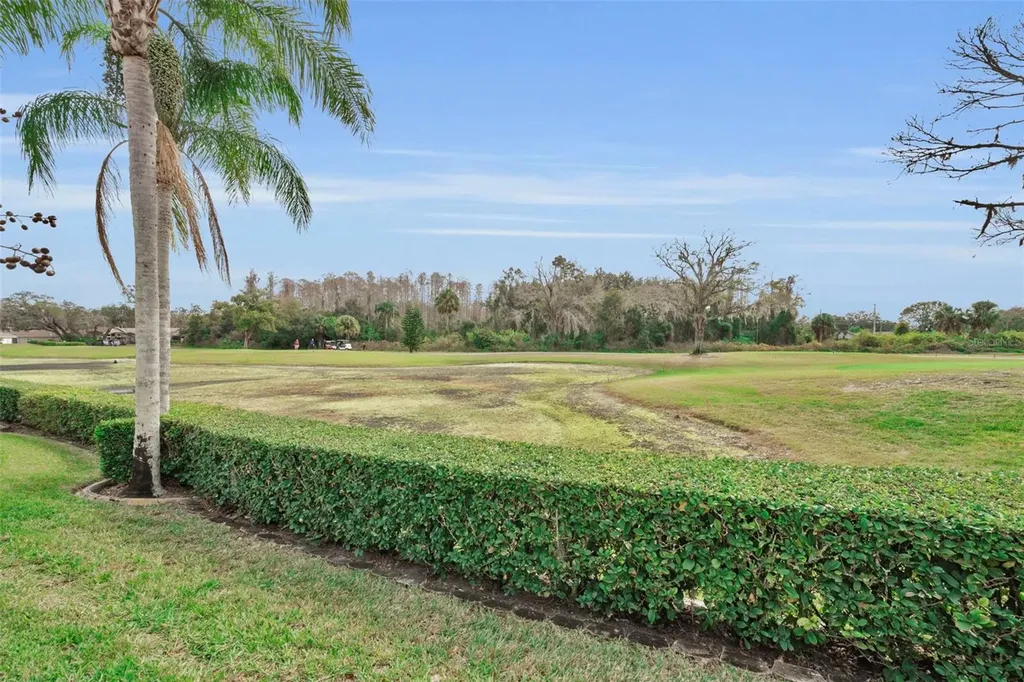9630 Green Needle Drive New Port Richey FL 34655