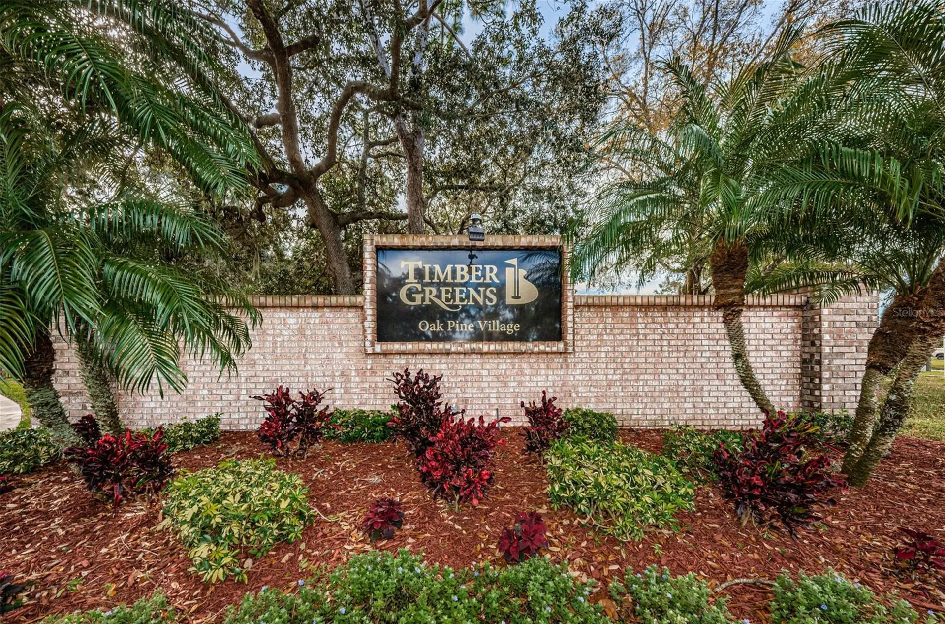 9630 Green Needle Drive New Port Richey FL 34655