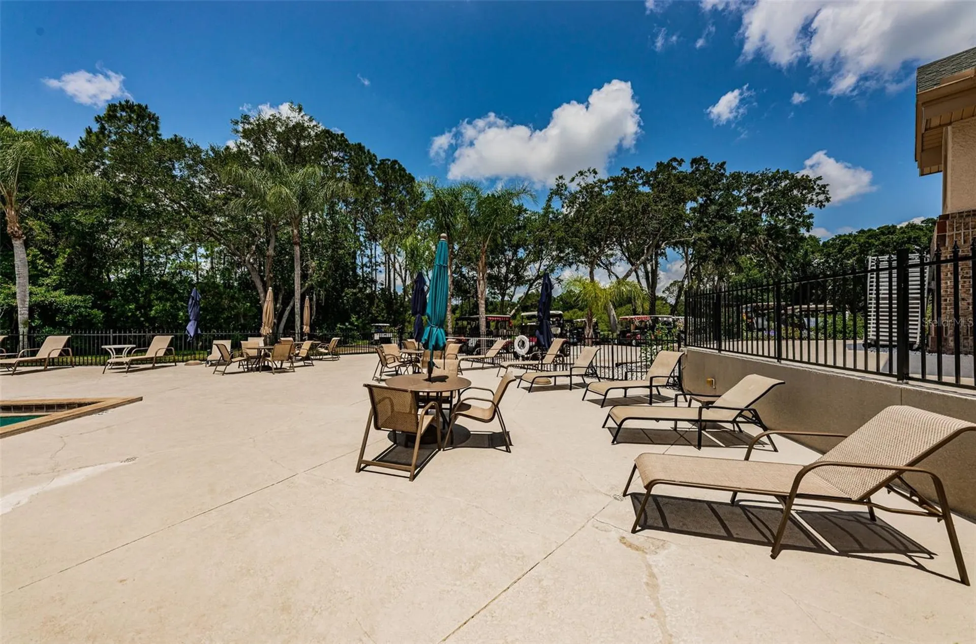 9630 Green Needle Drive New Port Richey FL 34655