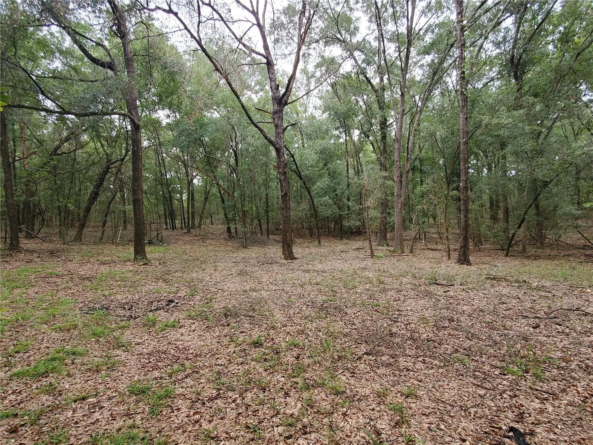 4919 NE 18 Trail Trenton FL 32693