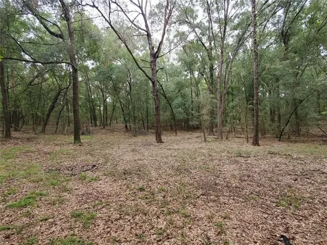 4919 NE 18 Trail Trenton FL 32693