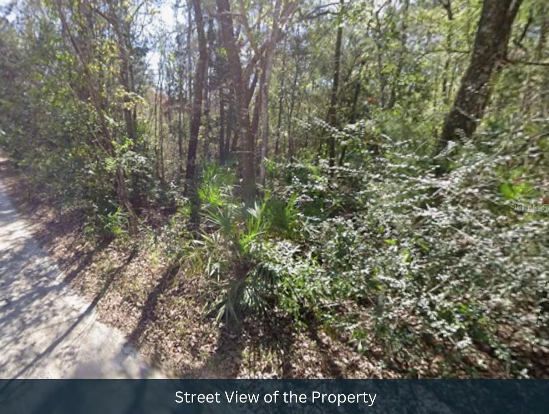 0 Pine Street Jacksonville FL 32258