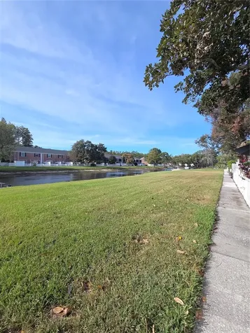 13690 Orange Sunset Drive Tampa FL 33618