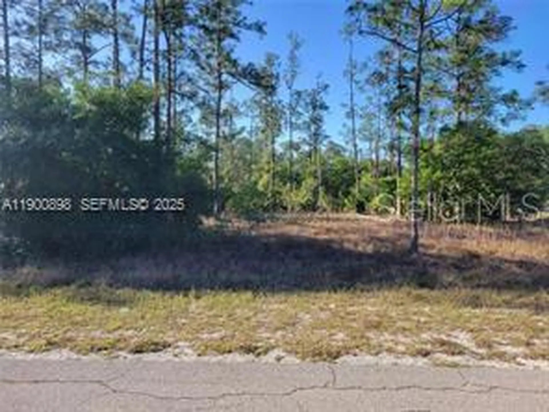 1600 E 15th Street Lehigh Acres FL 33972