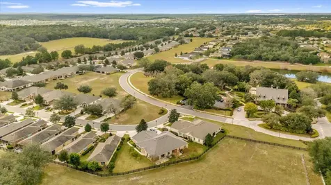 22048 Belgian Court Mount Dora FL 32757