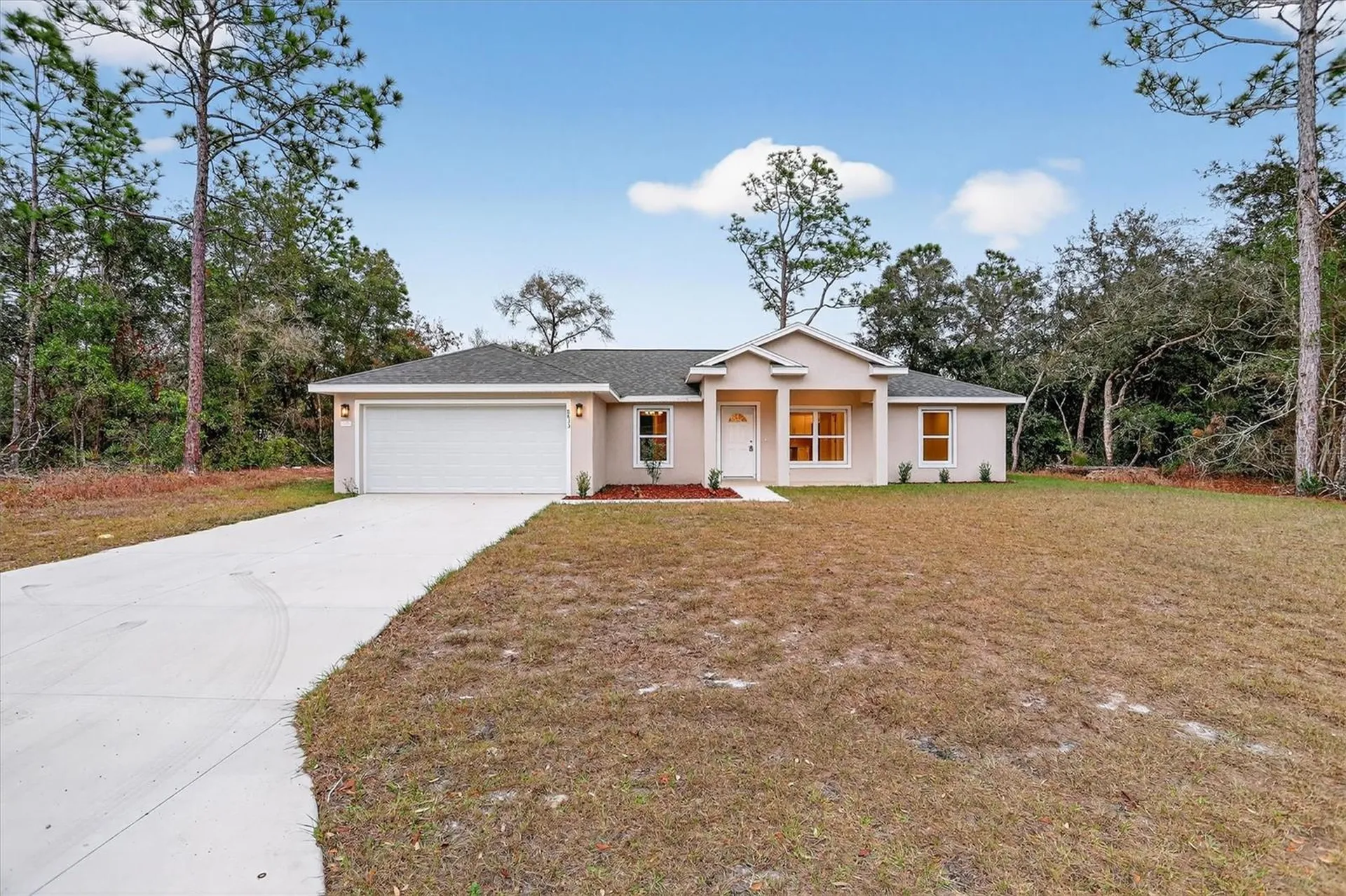 8833 N Spartan Drive Citrus Springs FL 34433