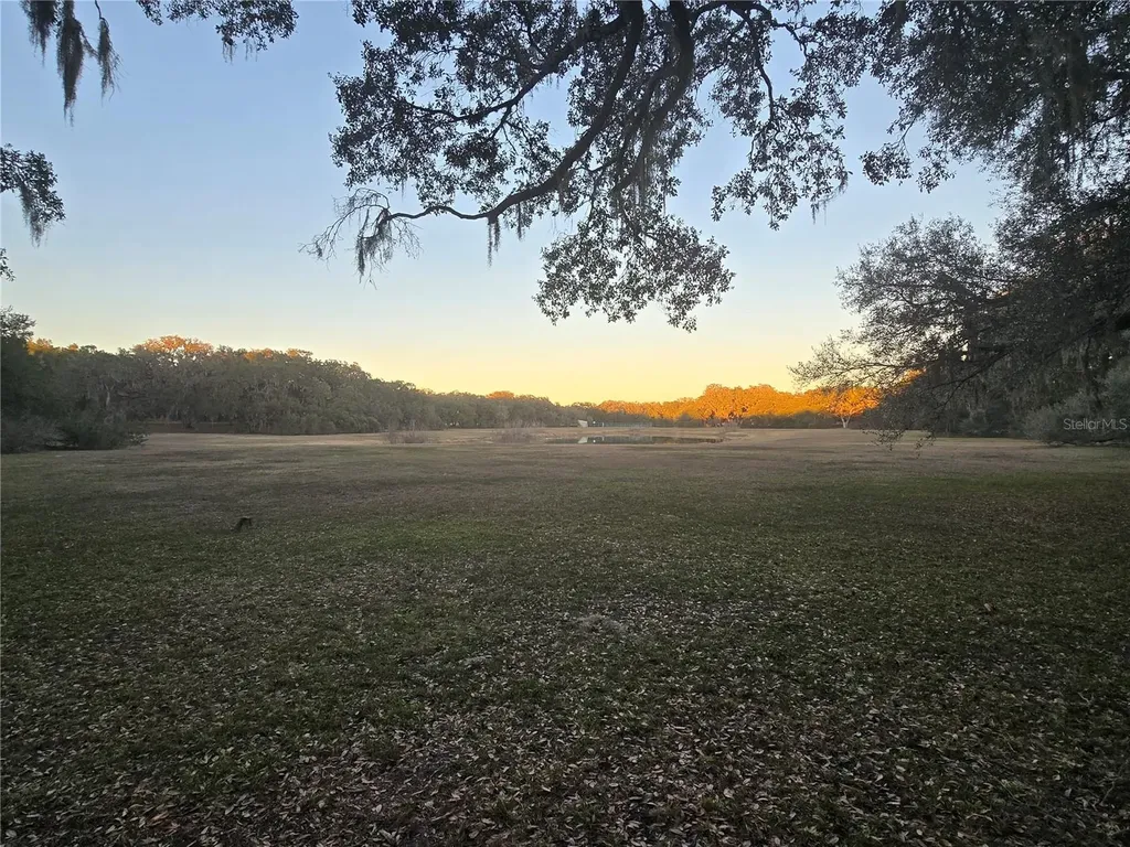 SW 136th Court Road Dunnellon FL 34432