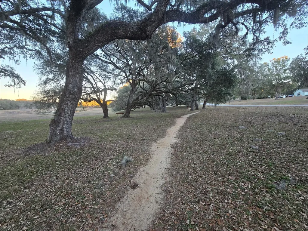 SW 136th Court Road Dunnellon FL 34432