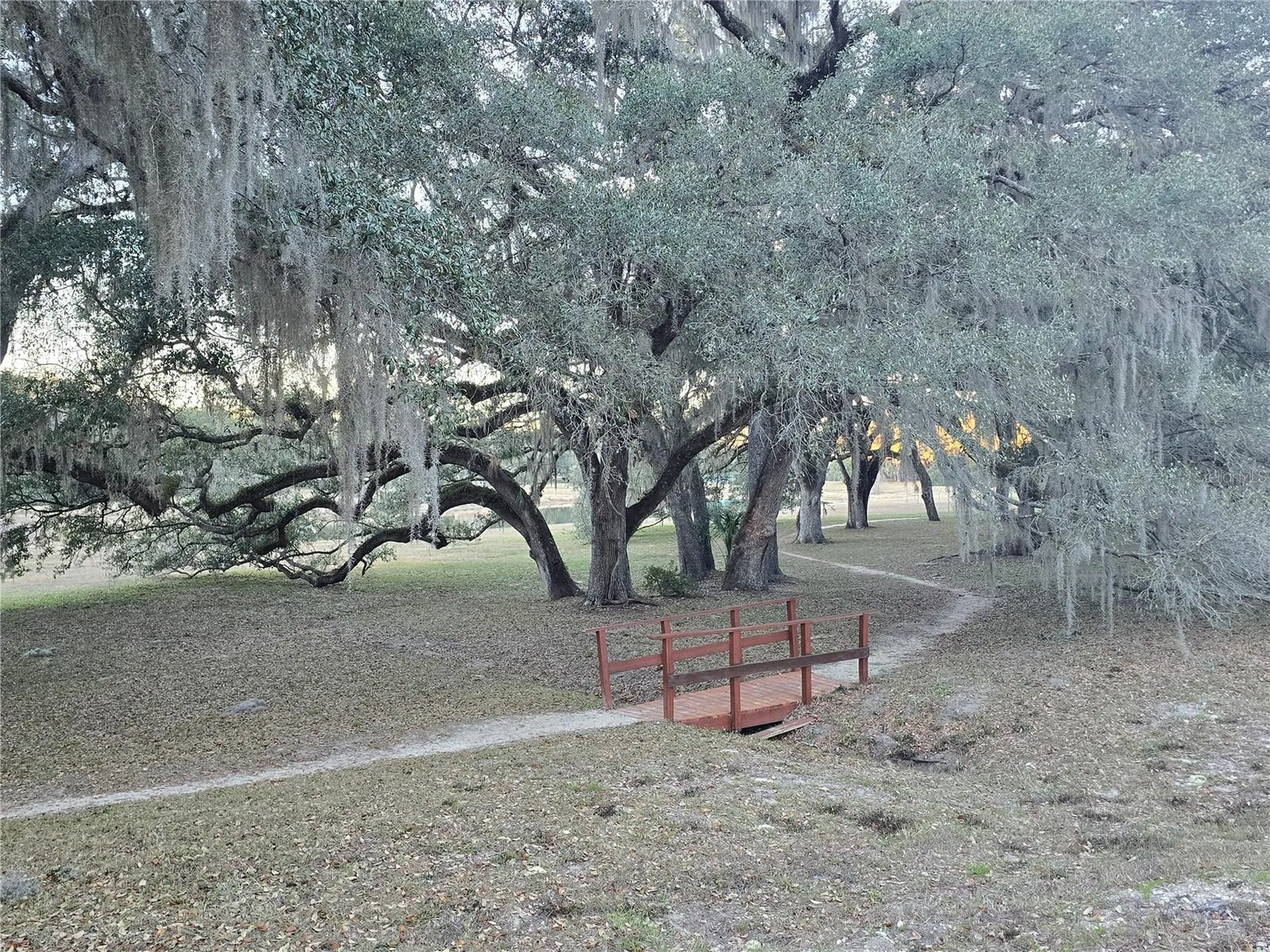 SW 136th Court Road Dunnellon FL 34432