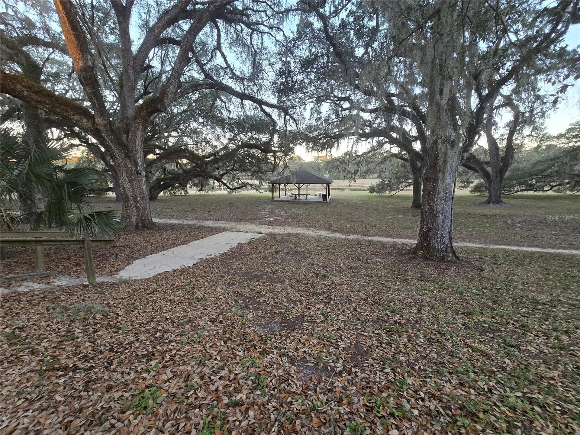 SW 136th Court Road Dunnellon FL 34432