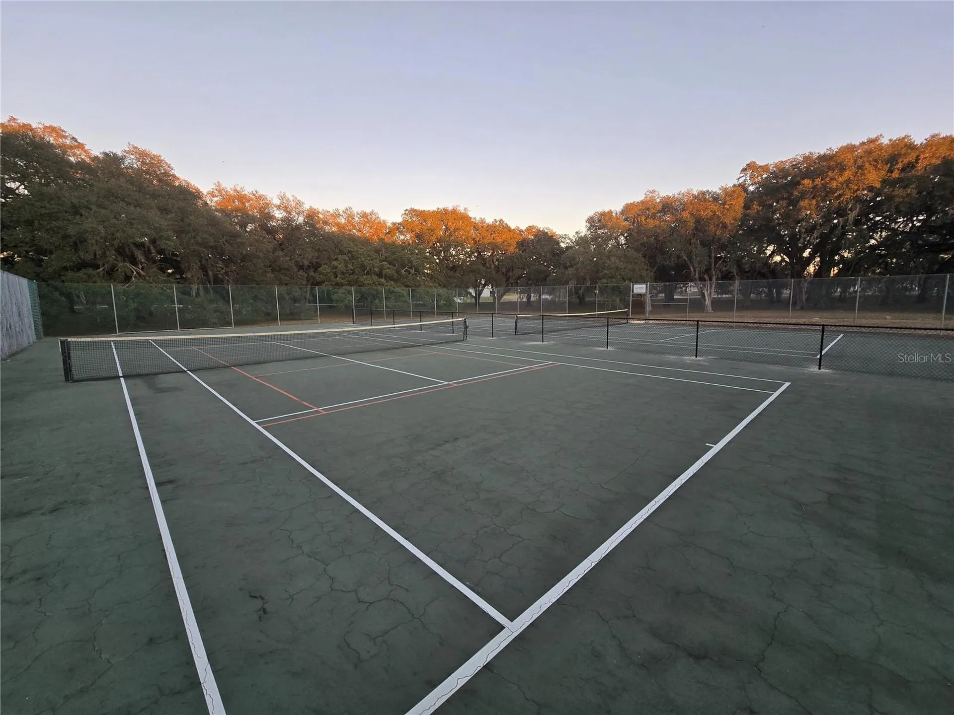 SW 136th Court Road Dunnellon FL 34432