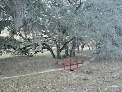 SW 136th Ct. Road Dunnellon FL 34432