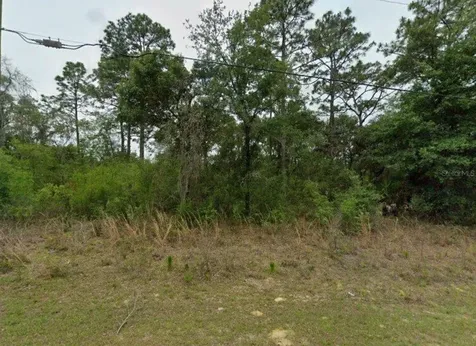 2338 W Riley Drive Citrus Springs FL 34434