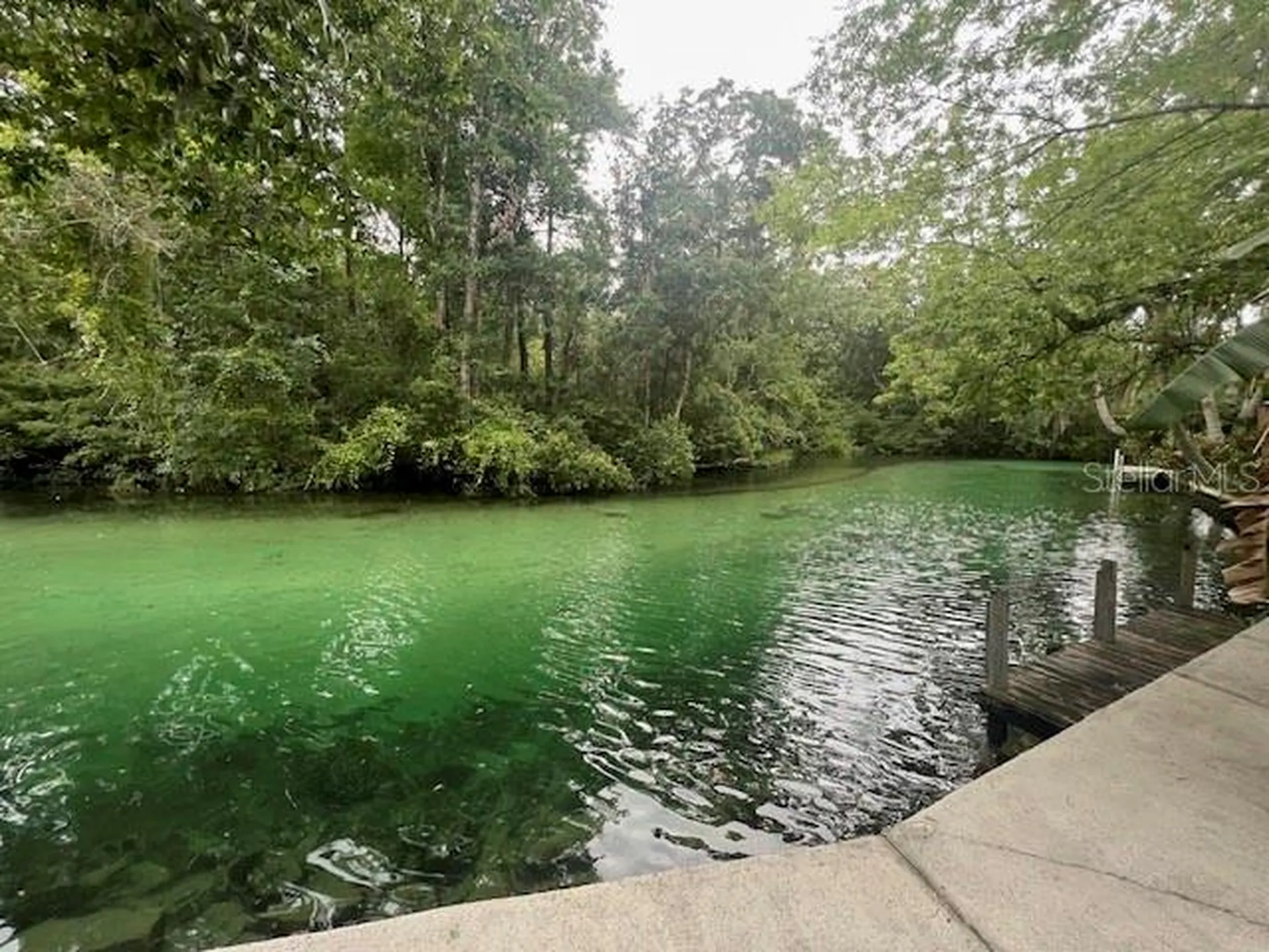 6120 Waverly Road Weeki Wachee FL 34607