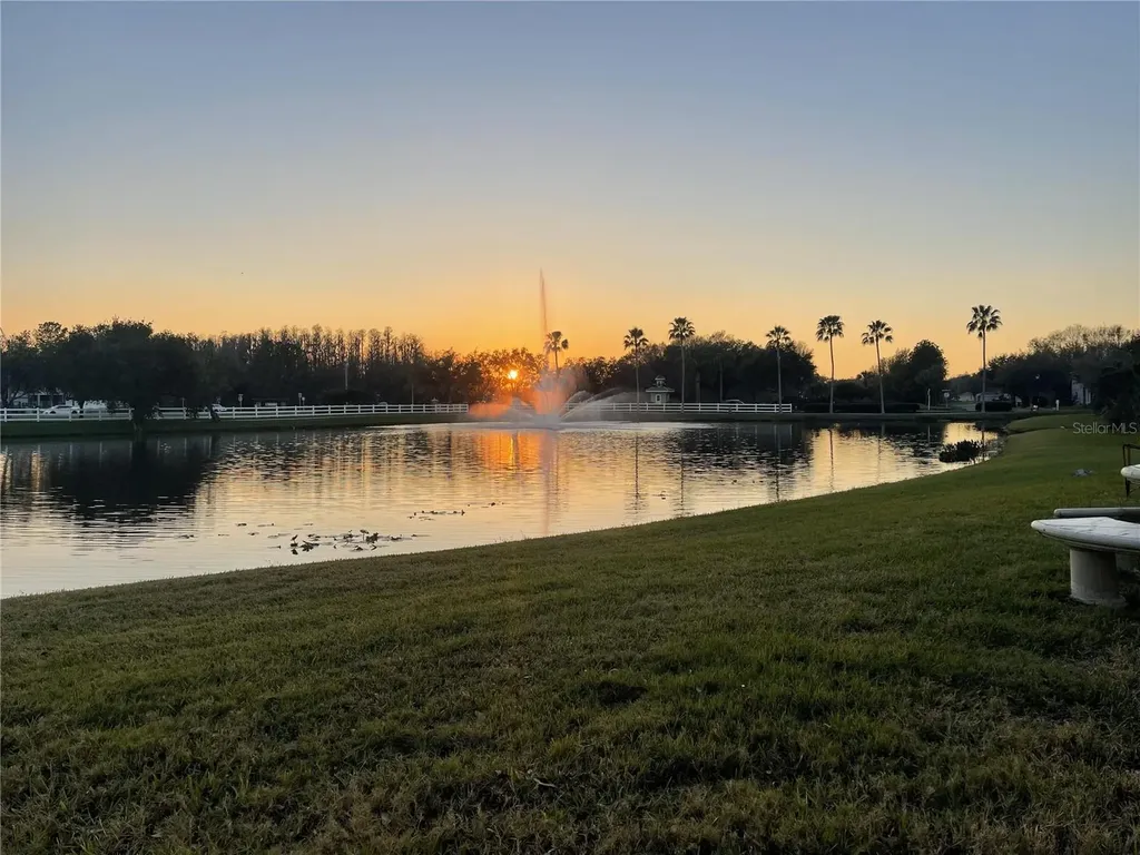 10503 Palm Cove Avenue Tampa FL 33647