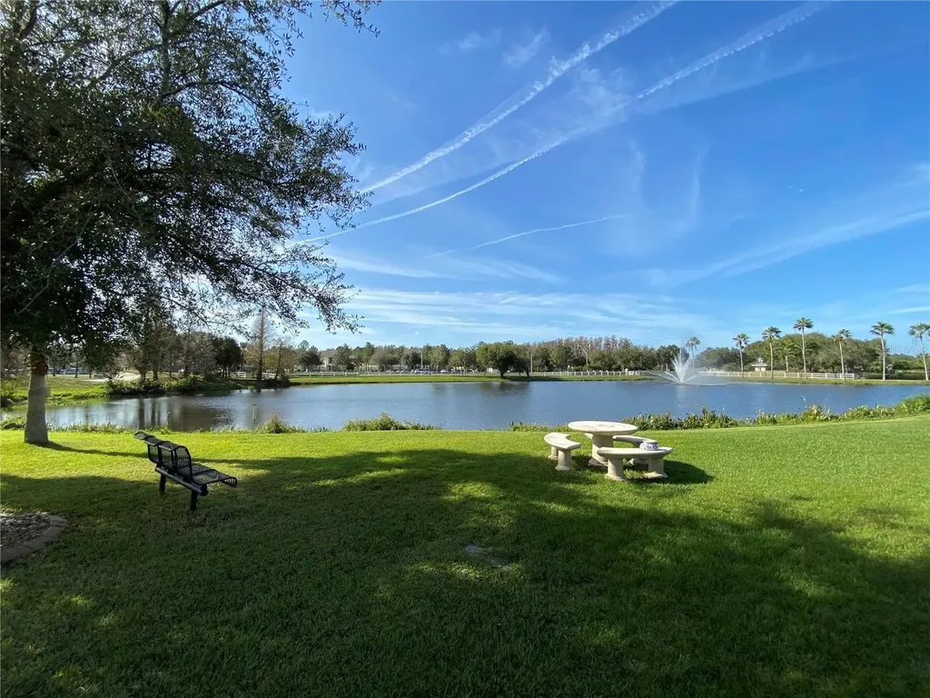 10503 Palm Cove Avenue Tampa FL 33647