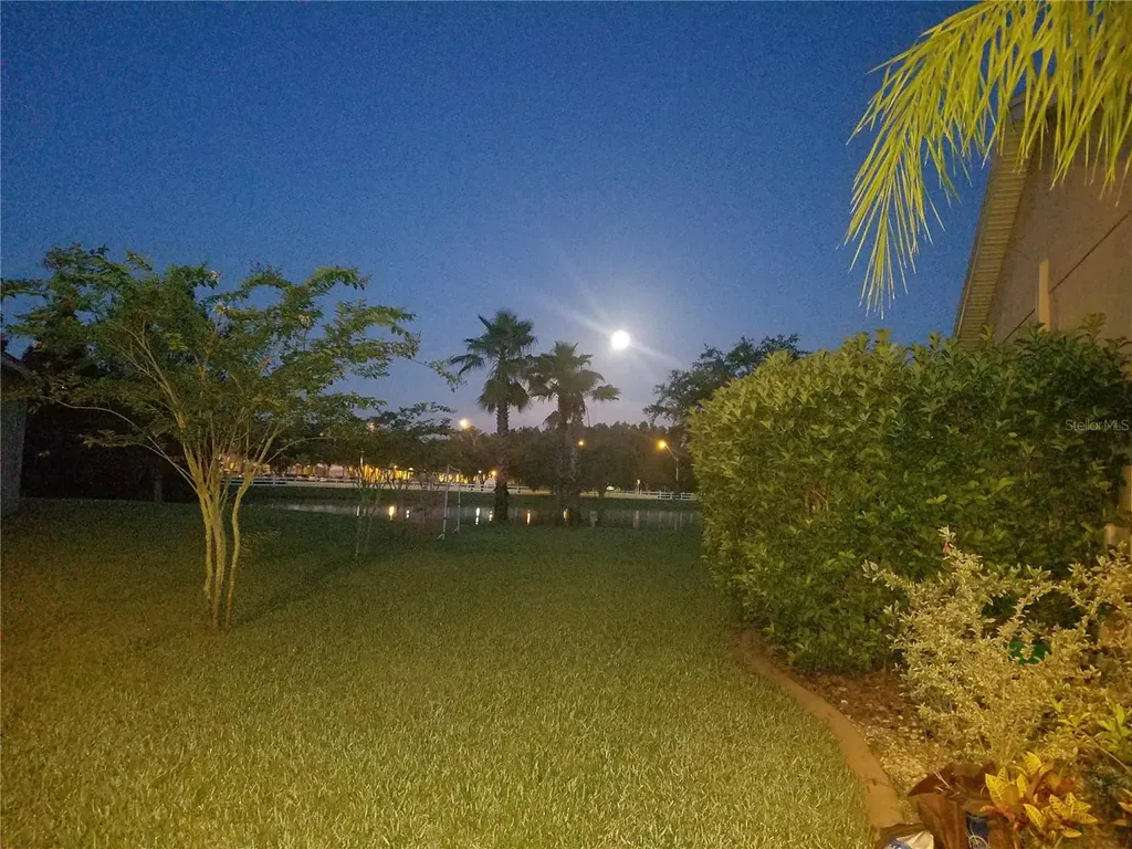 10503 Palm Cove Avenue Tampa FL 33647