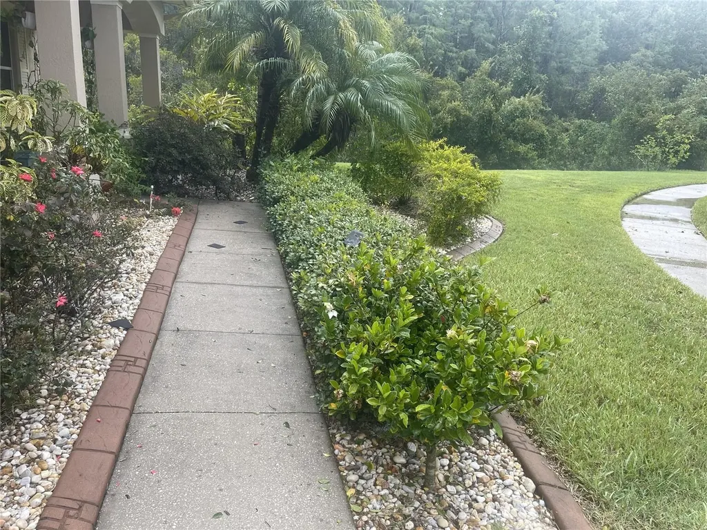 10503 Palm Cove Avenue Tampa FL 33647