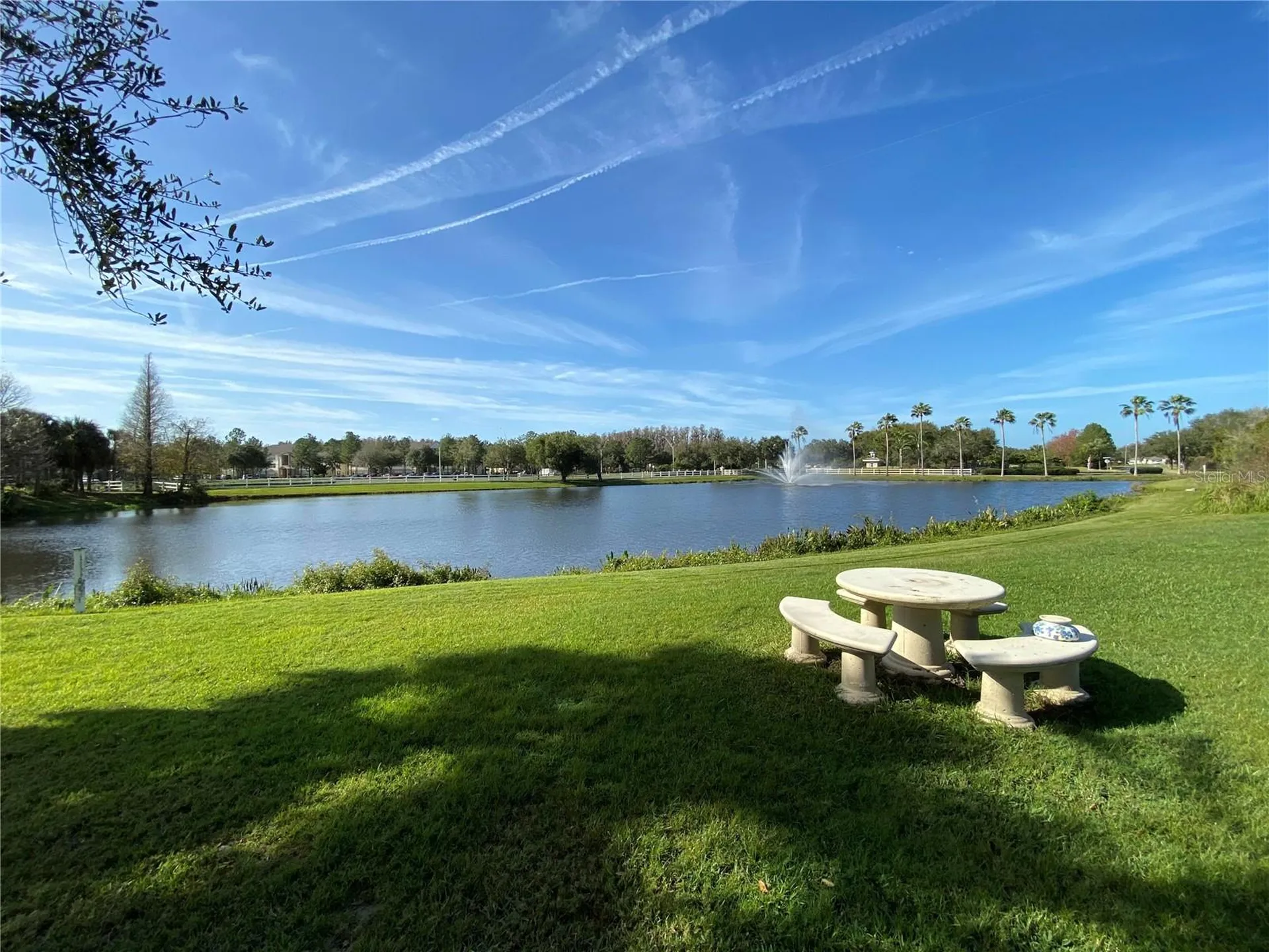 10503 Palm Cove Avenue Tampa FL 33647