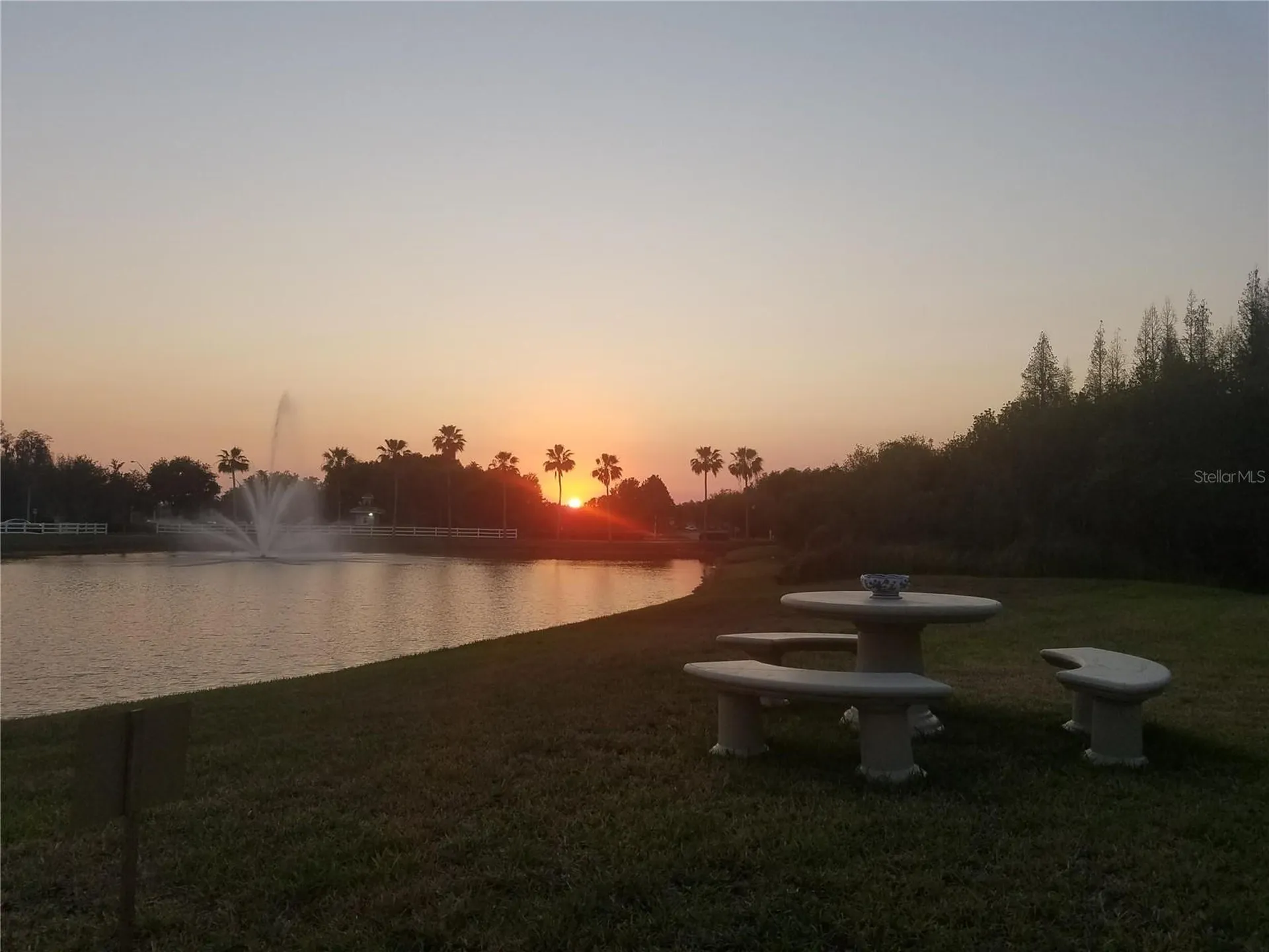 10503 Palm Cove Avenue Tampa FL 33647