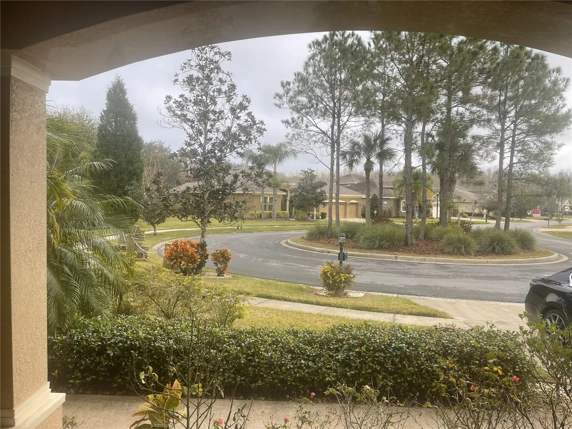 10503 Palm Cove Avenue Tampa FL 33647