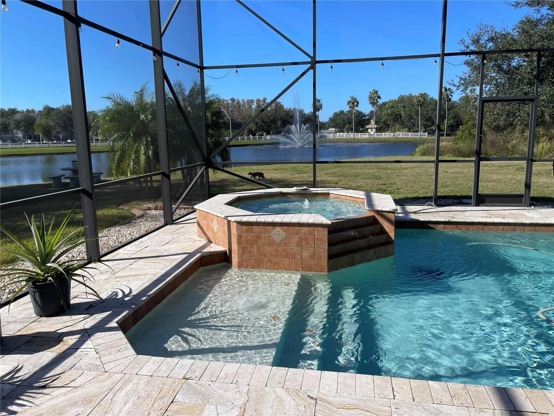 10503 Palm Cove Avenue Tampa FL 33647