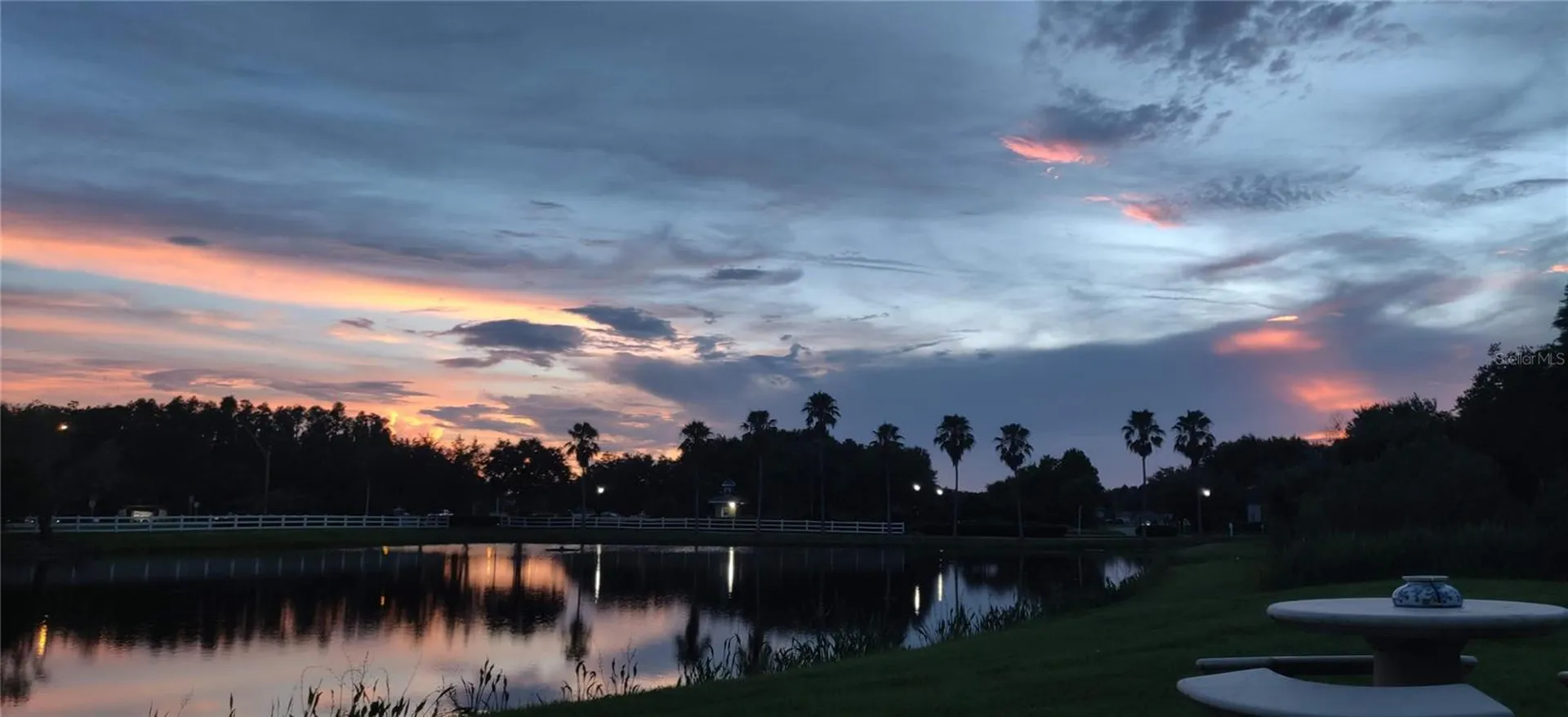 10503 Palm Cove Avenue Tampa FL 33647