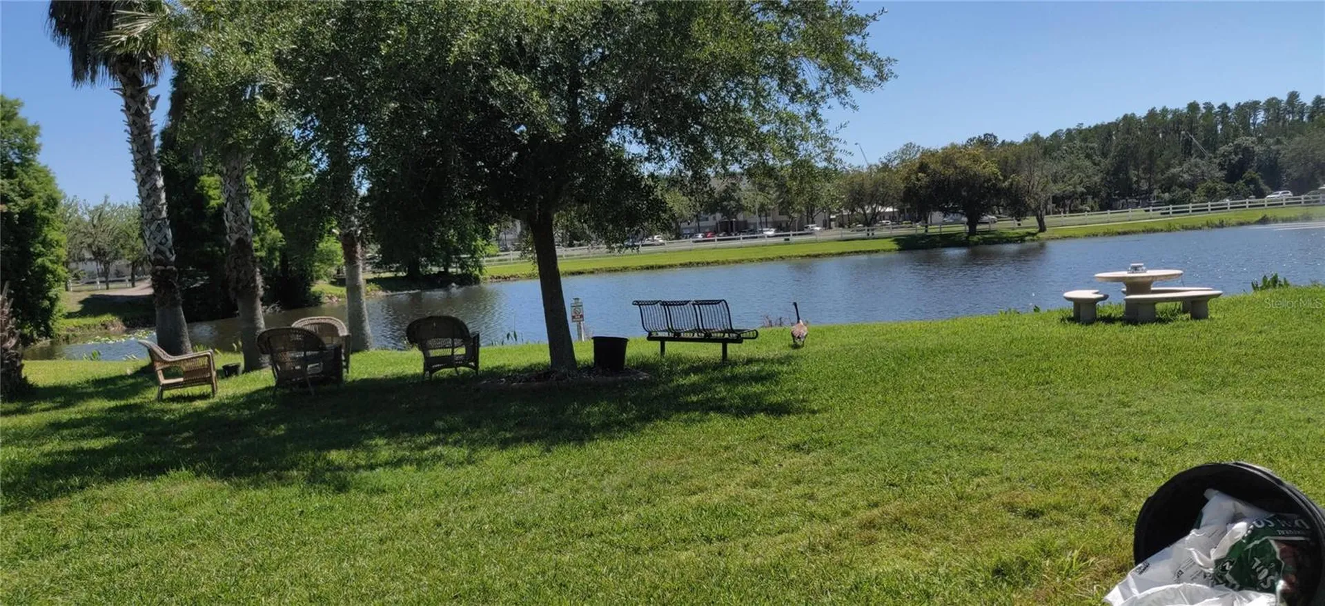10503 Palm Cove Avenue Tampa FL 33647