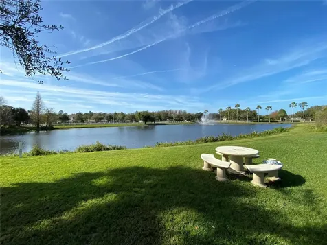 10503 Palm Cove Avenue Tampa FL 33647