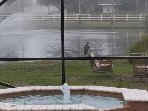 10503 Palm Cove Avenue Tampa FL 33647