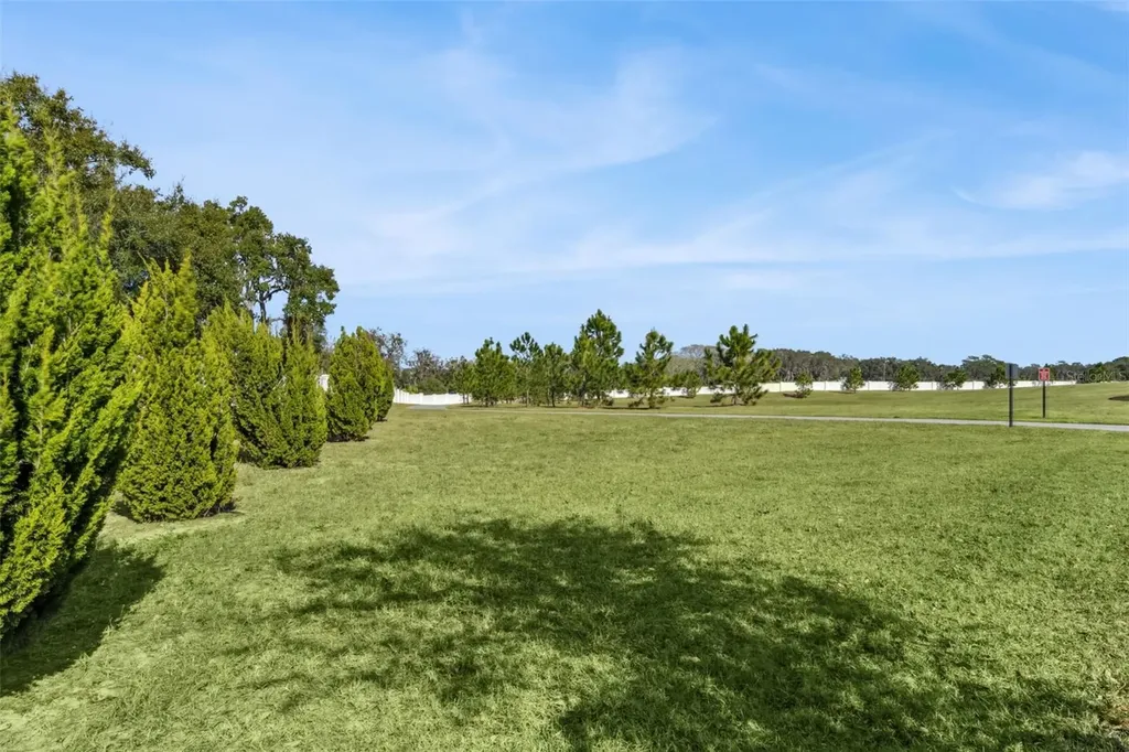 3351 Current Avenue Winter Garden FL 34787