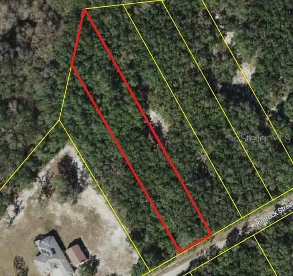 0 Rim Rock Webster FL 33597