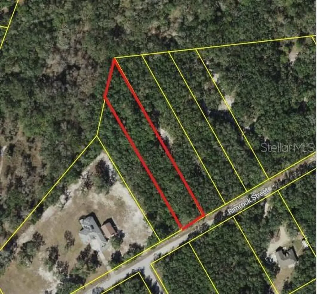 0 Rim Rock Webster FL 33597