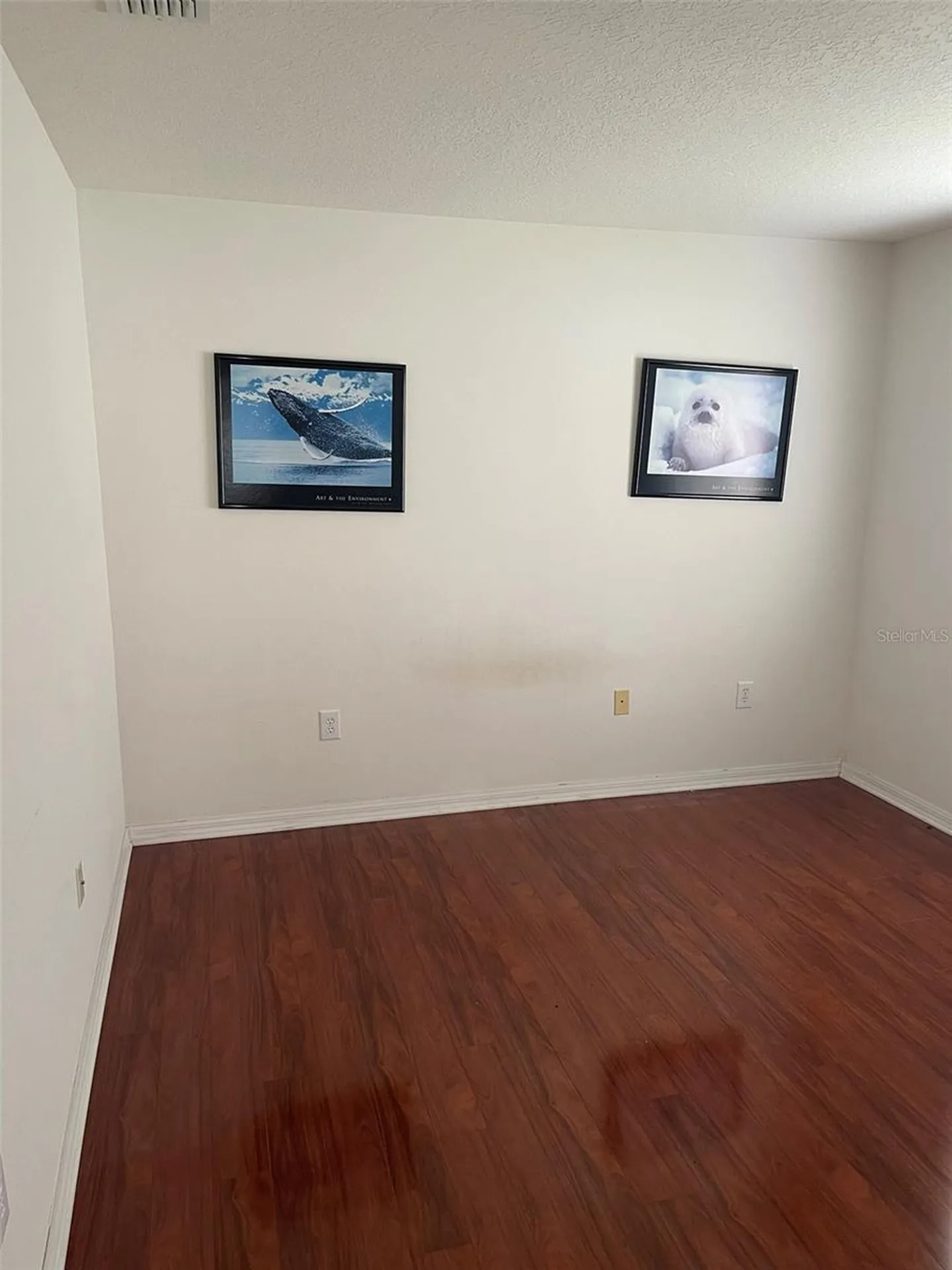 1530 Ocean Reef Road Wesley Chapel FL 33544